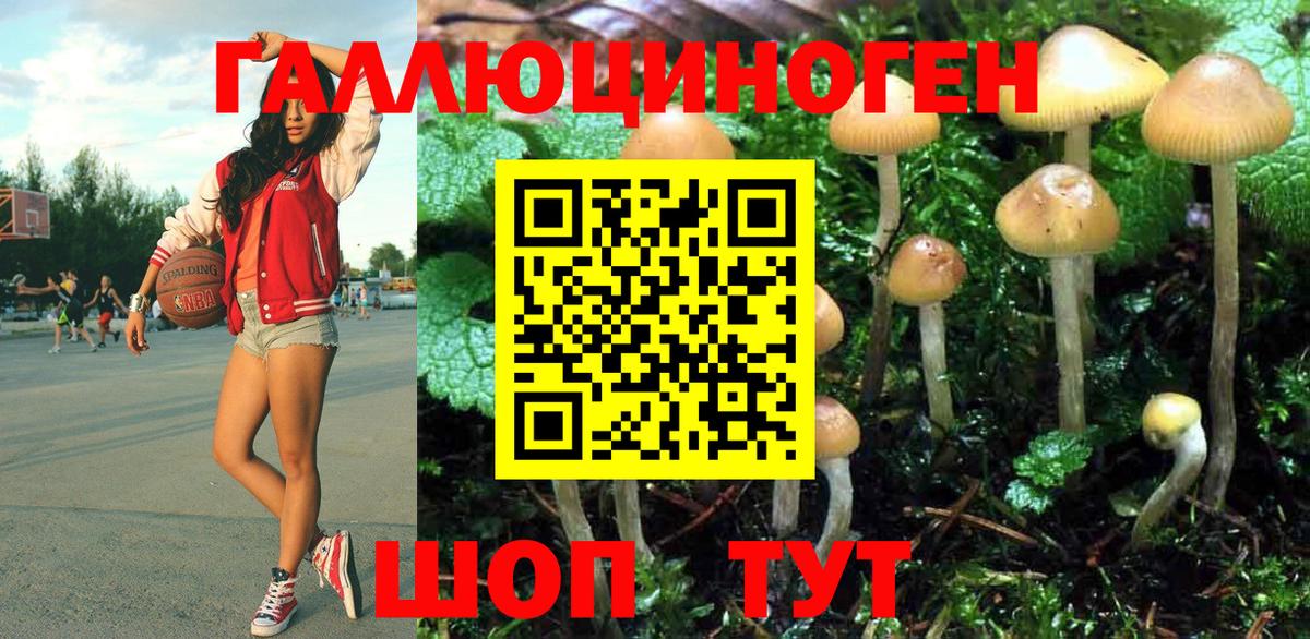 Псилоцибиновые грибы Cubensis  Вход с VPN  Отрадный 
